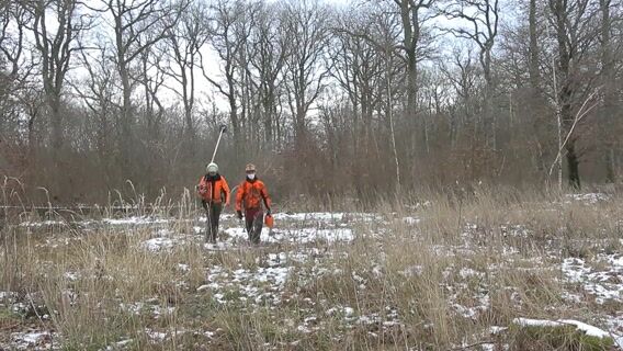 Il était une fois la sylviculture