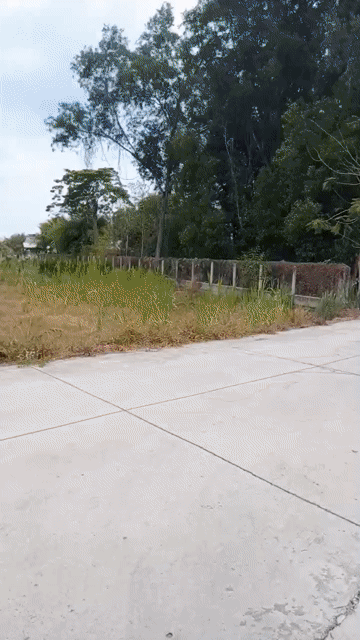 Cho thuê Văn phòng, Mặt bằng kinh doanh Huyện Củ Chi Tp Hồ Chí Minh diện tích 1000 m² giá 13 triệu/tháng