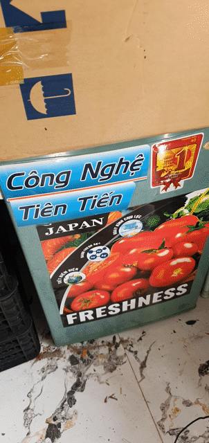 Tủ lạnh mini Daewoo Xanh ngọc Tiết kiệm điện. Mua bán Tủ lạnh tại Quận 6 Tp Hồ Chí Minh được đăng bởi PHƯƠNG BÁN NHANH GỌN hình 1