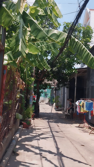 Mua bán Đất Quận Bình Tân Tp Hồ Chí Minh diện tích 66 m² giá 3,05 tỷ