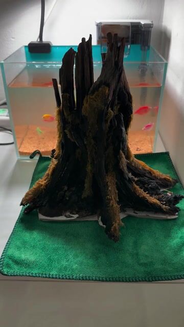 Layout bể cá hồ cá Gỗ lũa Nâu. Mua bán Phụ kiện, Thức ăn, Dịch vụ tại Quận Bình Tân Tp Hồ Chí Minh được đăng bởi phụng nhi hình 1
