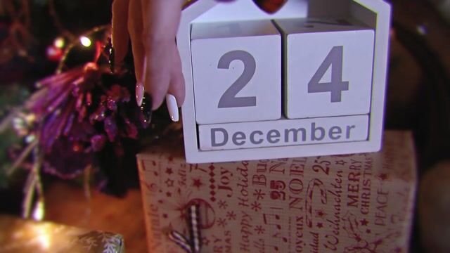 Model - MayaStorm toys