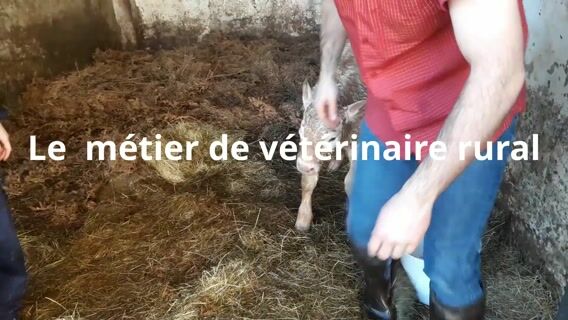 Une vie au service des animaux