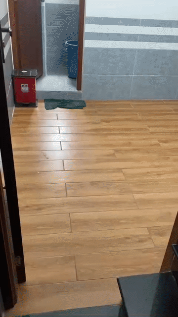 Cho thuê Phòng trọ Quận Gò Vấp Tp Hồ Chí Minh diện tích 32 m² giá 2,2 triệu/tháng