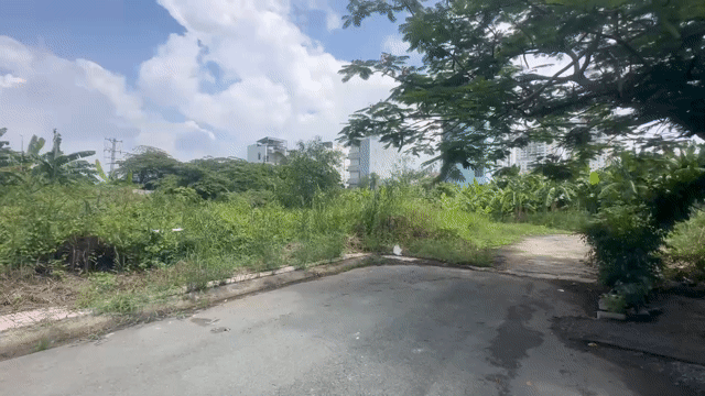 Mua bán Đất Quận 7 Tp Hồ Chí Minh diện tích 451 m² giá 16,45 tỷ