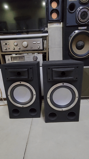 Cặp loa Sony bass 20cm màng phẳng  trép kèn... Mua bán Tivi, Âm thanh tại Quận Phú Nhuận Tp Hồ Chí Minh được đăng bởi Long audio hình 1