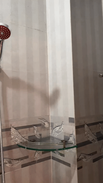Cho thuê Phòng trọ Quận 5 Tp Hồ Chí Minh diện tích 20 m² giá 3,5 triệu/tháng