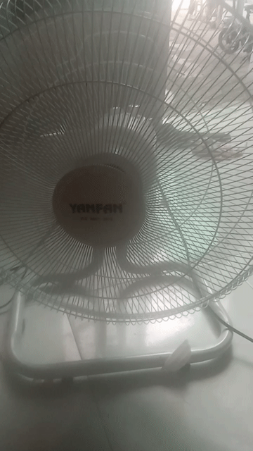 Quạt điện YANFAN Công suất lớn Đã sử dụng. Mua bán Quạt tại Quận Ninh Kiều Cần Thơ được đăng bởi gmail Khongco hình 1