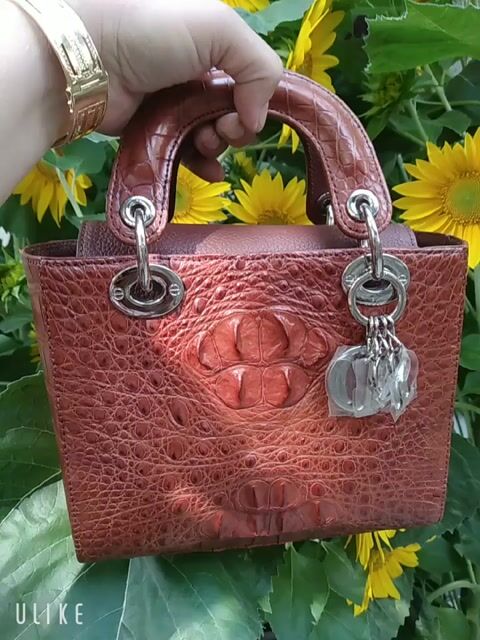 Túi xách nữ da cá sấu thật. Mua bán Túi xách tại Quận 12 Tp Hồ Chí Minh được đăng bởi Chi hình 1