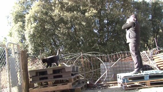 La mécanique mène à tout