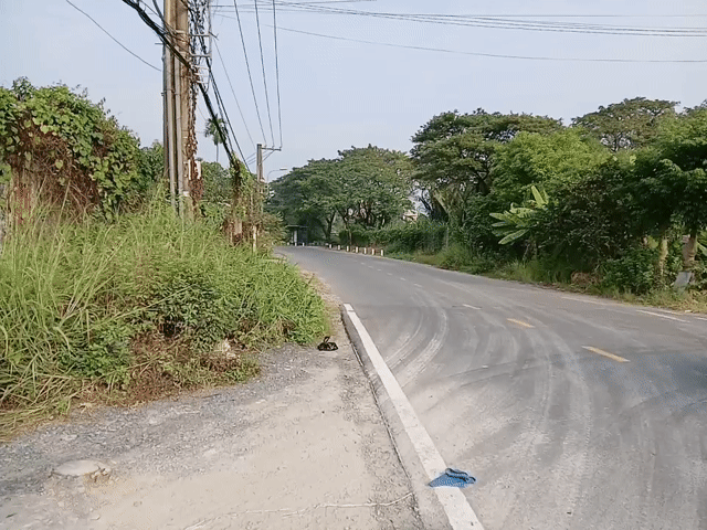 Cho thuê Đất Thành phố Thủ Đức Tp Hồ Chí Minh diện tích 9000 m² giá 120 triệu/tháng