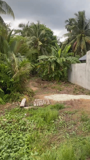 Mua bán Đất Huyện Càng Long Trà Vinh diện tích 91.9 m² giá 1,05 tỷ