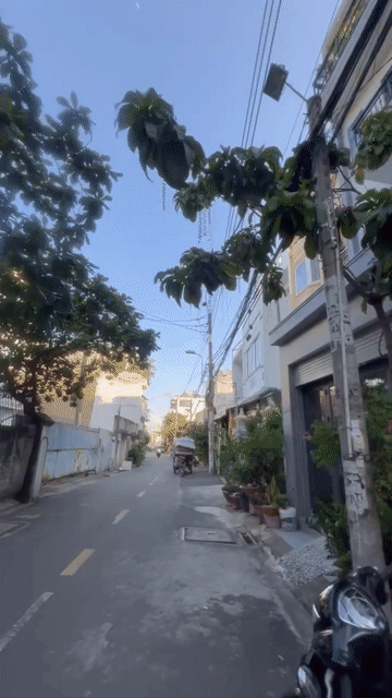 Cho thuê Nhà ở Quận Bình Tân Tp Hồ Chí Minh diện tích 90 m² giá 12 triệu/tháng