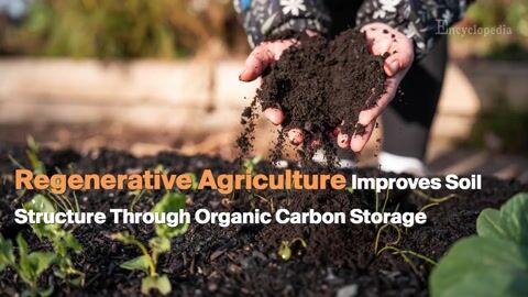 Encyclopedia-Regenerative Agriculture Improves Soil Health via Organic Carbon Storage
