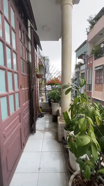 Cho thuê Phòng trọ Quận Tân Phú Tp Hồ Chí Minh diện tích 20 m² giá 3 triệu/tháng