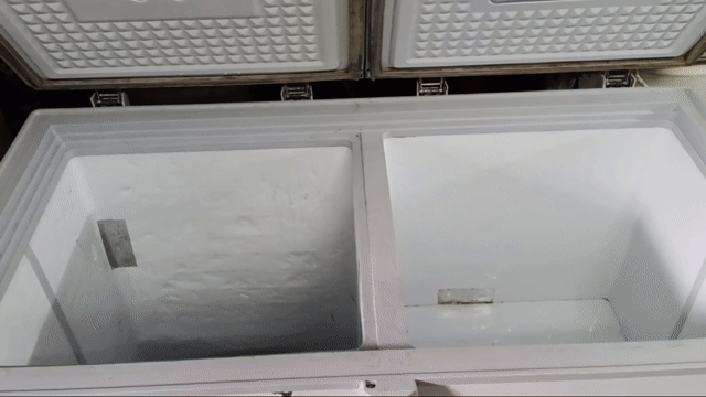 Tủ đông Kangaroo 290L Trắng R600a. Mua bán Tủ lạnh tại Quận Ngô Quyền Hải Phòng được đăng bởi ĐIỆN LẠNH 469 hình 1