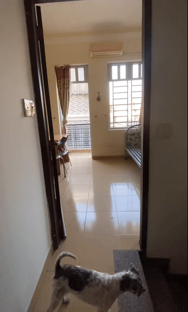 Cho thuê Phòng trọ Quận 4 Tp Hồ Chí Minh diện tích 13 m² giá 3 triệu/tháng