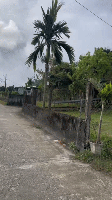 Mua bán Đất Huyện Hòa Vang Đà Nẵng diện tích 97 m² giá 1,69 tỷ