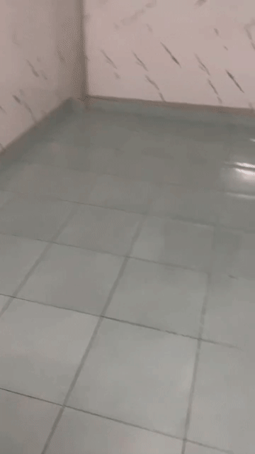Mua bán Nhà ở Quận Tân Phú Tp Hồ Chí Minh diện tích 24 m² giá 2,55 tỷ