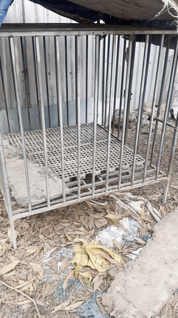Chuồng chó kim loại đã sử dụng. Mua bán Phụ kiện, Thức ăn, Dịch vụ tại Huyện Long Thành Đồng Nai được đăng bởi Duc hình 1