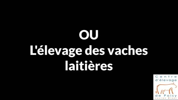 L'histoire d'Histoire