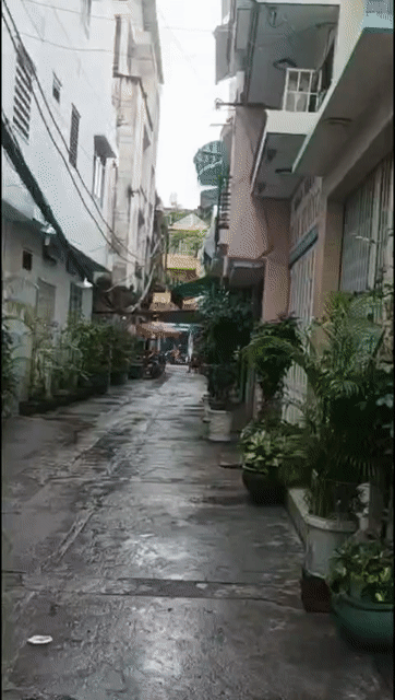 Cho thuê Văn phòng, Mặt bằng kinh doanh Quận 5 Tp Hồ Chí Minh diện tích 30 m² giá 11 triệu/tháng