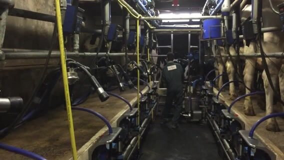 L'agriculture c'est l'aventure !