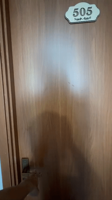 Cho thuê Căn hộ Chung cư Quận Bình Thạnh Tp Hồ Chí Minh diện tích 55 m² giá 8,5 triệu/tháng