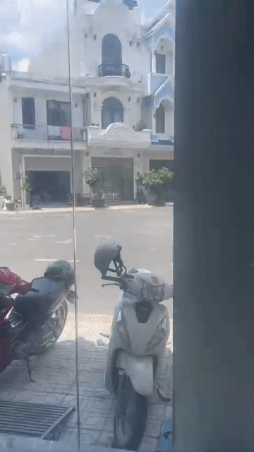Cần bán bộ cửa kính cường lực văn phòng, nhà riêng. Mua bán Nội thất, đồ gia dụng khác tại Thành phố Thuận An Bình Dương được đăng bởi Phong Trần hình 1
