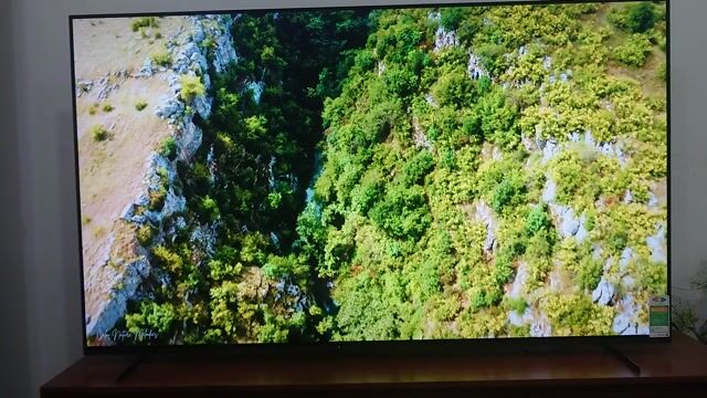 Tivi OLED Sony 65A80K 65 inch. Mua bán Tivi, Âm thanh tại Quận Bình Thạnh Tp Hồ Chí Minh được đăng bởi Phương hình 1