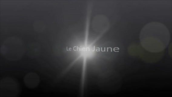 Le Chien Jaune