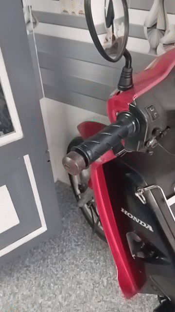 Honda Wave Đỏ Nhật. Mua bán Xe máy tại Quận 7 Tp Hồ Chí Minh được đăng bởi Ba Cherry hình 1