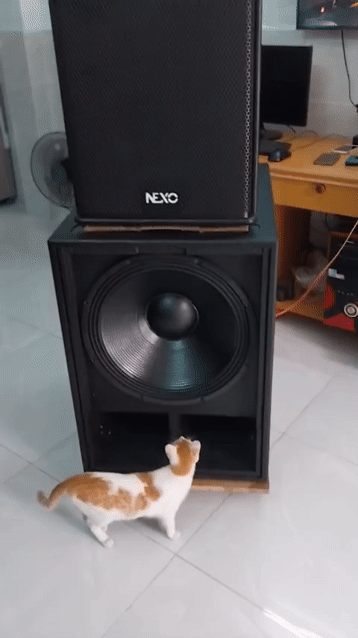 Loa sub hơi bass BC 5 tấc côn 100 vỏ ván ép-new. Mua bán Tivi, Âm thanh tại Huyện Hóc Môn Tp Hồ Chí Minh được đăng bởi Âm thanh Hóc Môn hình 1