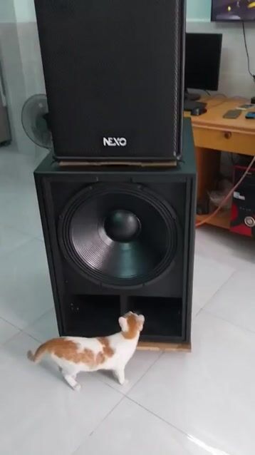 Loa sub hơi bass BC 5 tấc côn 100 vỏ ván ép-new. Mua bán Tivi, Âm thanh tại Huyện Hóc Môn Tp Hồ Chí Minh được đăng bởi Âm thanh Hóc Môn hình 1