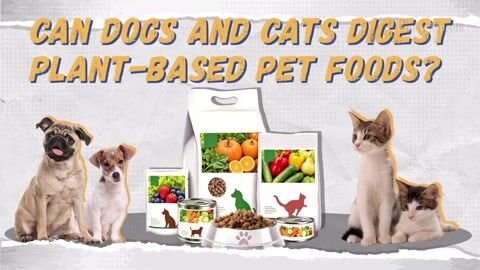 Encyclopedia-The Digestibility of Vegan and Vegetarian Diets for Dogs and Cats