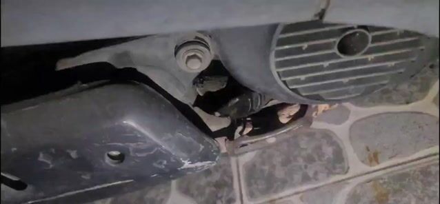 Honda Spacy 2009 màu Nâu. Mua bán Xe máy tại Thành phố Thủ Đức Tp Hồ Chí Minh được đăng bởi lê võ hình 1