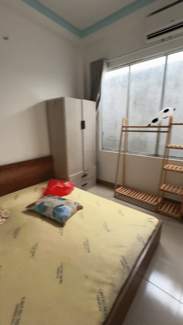 Cho thuê Phòng trọ Quận Bình Thạnh Tp Hồ Chí Minh diện tích 60 m² giá 8 triệu/tháng