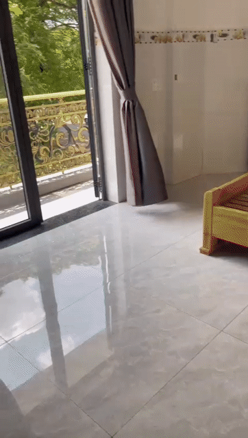 Cho thuê Phòng trọ Huyện Bình Chánh Tp Hồ Chí Minh diện tích 20 m² giá 3,2 triệu/tháng