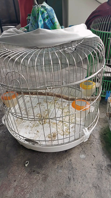 4 cái lồng như hình . Mua bán Phụ kiện, Thức ăn, Dịch vụ tại Thành phố Dĩ An Bình Dương được đăng bởi ngô  hình 1