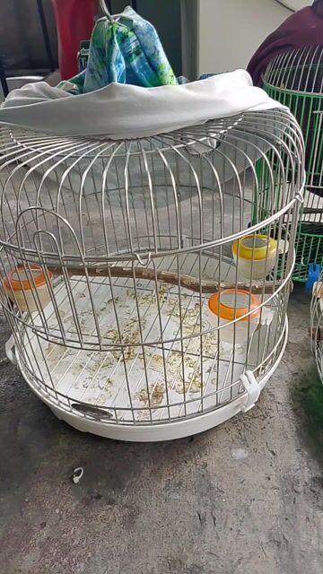 4 cái lồng như hình . Mua bán Phụ kiện, Thức ăn, Dịch vụ tại Thành phố Dĩ An Bình Dương được đăng bởi ngô  hình 1