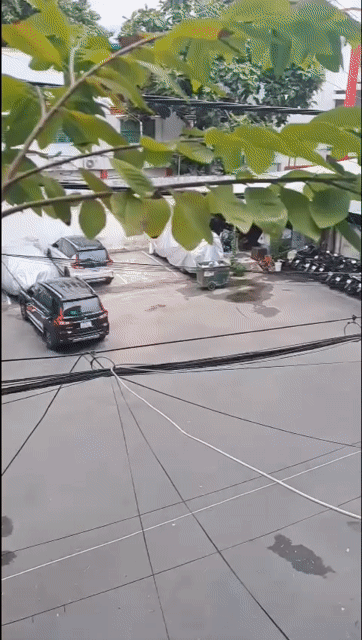 Mua bán Căn hộ Chung cư Quận Tân Phú Tp Hồ Chí Minh diện tích 62 m² giá 2,7 tỷ