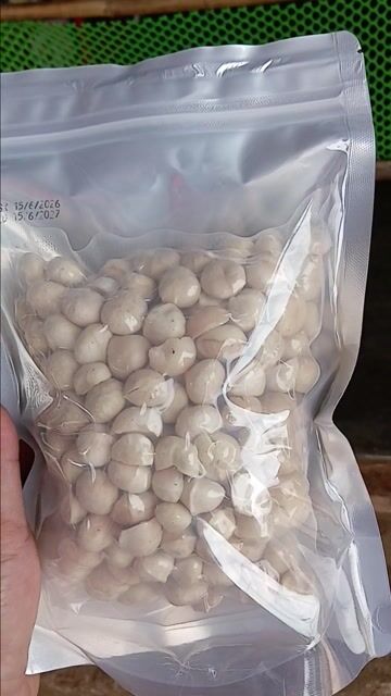 hạt macca nhân vỡ. Mua bán Đồ ăn, thực phẩm và các loại khác tại Huyện Lâm Hà Lâm Đồng được đăng bởi Chauhoa Nguy hình 1