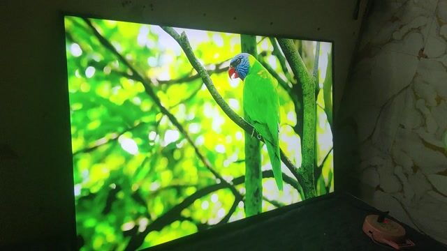 Tivi Samsung 50 inch 2020 mua gần 15tr . Mua bán Tivi, Âm thanh tại Quận 3 Tp Hồ Chí Minh được đăng bởi dịch vụ ráy tai  hình 1