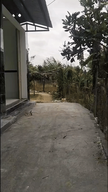 Mua bán Nhà ở Thành phố Qui Nhơn Bình Định diện tích 40 m² giá 1,28 tỷ