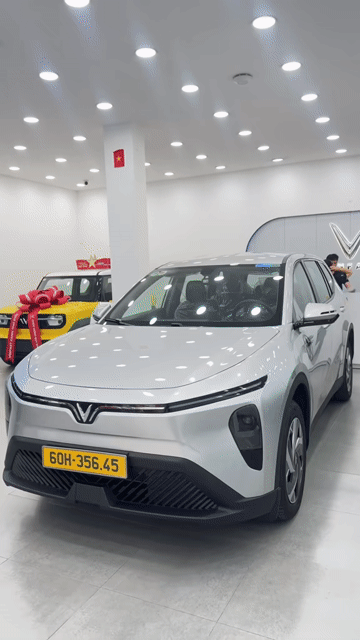 Xe điện VinFast Limo Green Bạc. Mua bán Ô tô tại Quận Liên Chiểu Đà Nẵng được đăng bởi Tiến Đạt Vinfast Năng Lượng Xanh hình 1