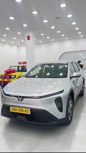Xe điện VinFast Limo Green Bạc. Mua bán Ô tô tại Quận Liên Chiểu Đà Nẵng được đăng bởi Tiến Đạt Vinfast Năng Lượng Xanh hình 1