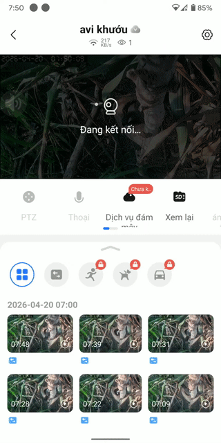Cặp bạc sinh sản. Mua bán Chim tại Huyện Tây Sơn Bình Định được đăng bởi bo tit hình 1