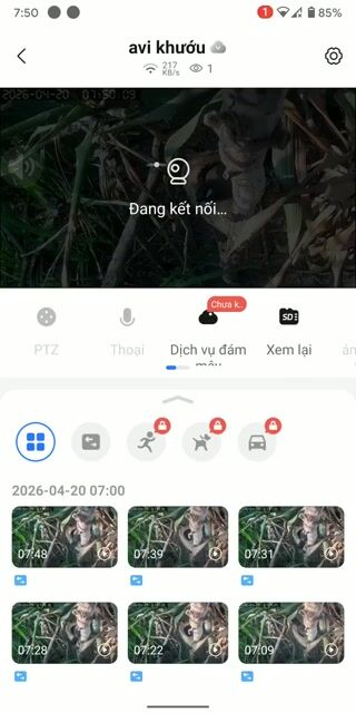 Cặp bạc sinh sản. Mua bán Chim tại Huyện Tây Sơn Bình Định được đăng bởi bo tit hình 1