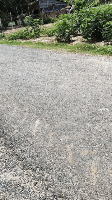 Mua bán Đất Huyện Châu Thành Tây Ninh diện tích 236 m² giá 295 triệu
