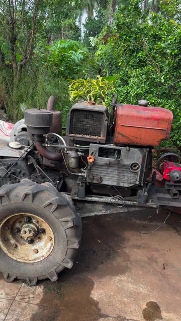 tìm chủ mới rước em nó. Mua bán Phương tiện khác tại Thành phố Buôn Ma Thuột Đắk Lắk được đăng bởi Phạm Phương hình 1